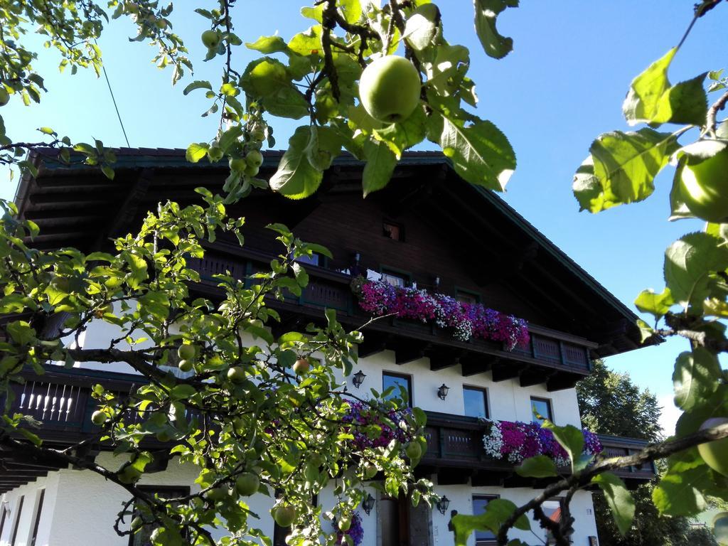 Schusterbauer Koppl Exterior foto